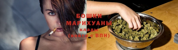 мдпв Саяногорск
