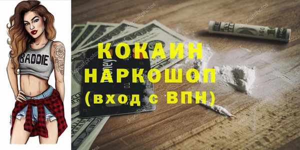 прущие грибы Майский