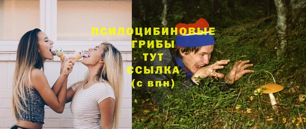 шишки Лихославль