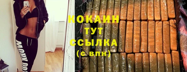 прущие грибы Майский