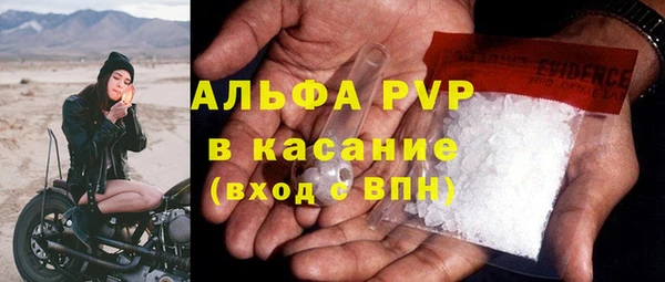 прущие грибы Майский