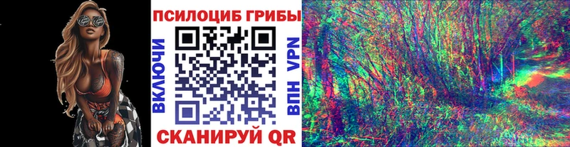 Псилоцибиновые грибы прущие грибы  наркота  Шацк 